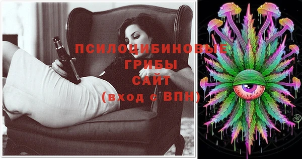 МДПВ Волоколамск
