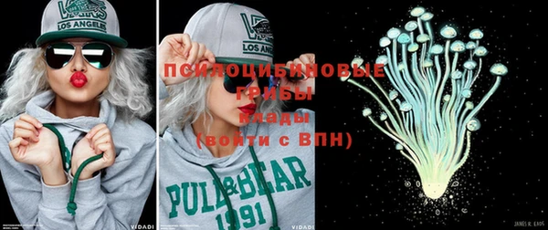 МДПВ Волоколамск