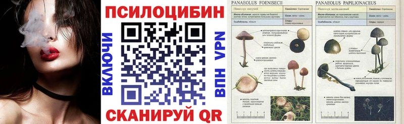 Галлюциногенные грибы мицелий  продажа наркотиков  Вязьма 